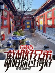 四合院：从十级技术员开始厂长路