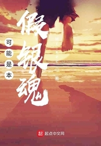 可能是本假银魂