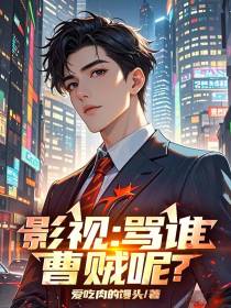 影视：骂谁曹贼呢？